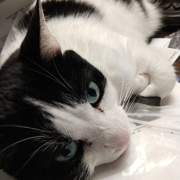 Meet your Posher, Traveling - Picture 1 of 1